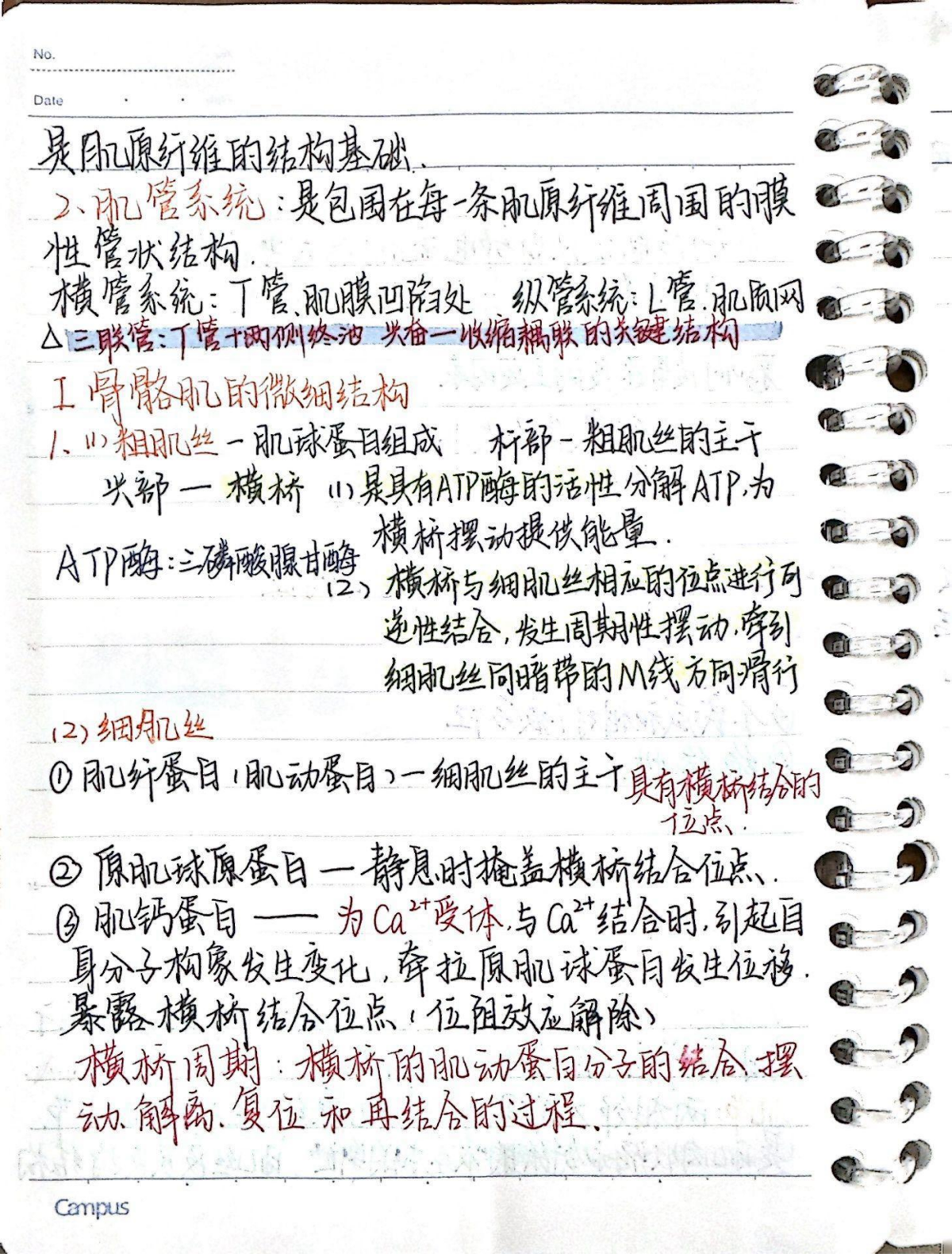 176caf73d57a4552b1ef178814058b0b.png 176caf73d57a4552b1ef178814058b0b.png