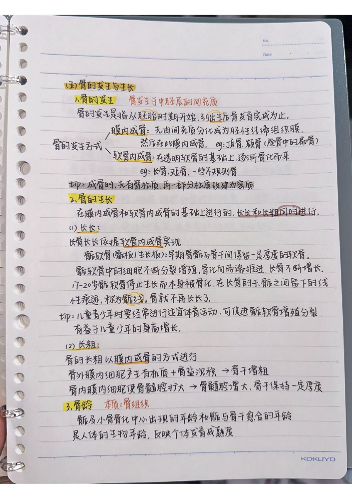 7d129c83a8cd4769be9cdbe301ce475b.png 7d129c83a8cd4769be9cdbe301ce475b.png